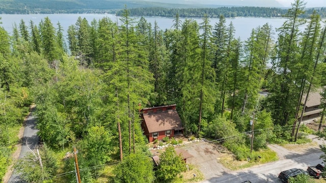 aerial view featuring a water view and a view of trees