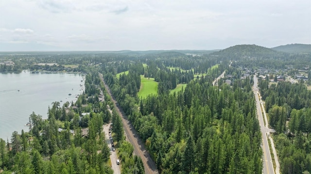birds eye view of property featuring a wooded view and a water and mountain view