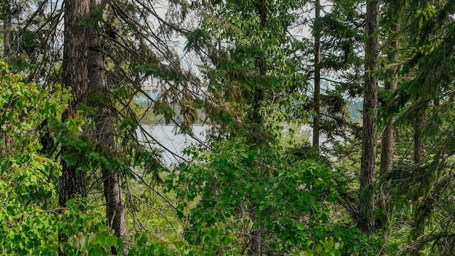 view of local wilderness
