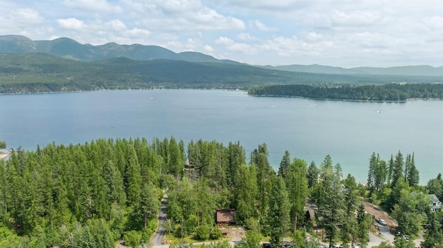 1520 W Lakeshore Dr, Whitefish, MT 59937 - water view featuring a mountain backdrop and a heavily wooded area