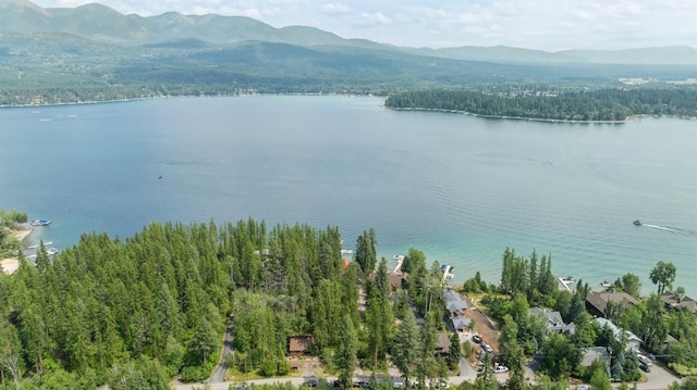 water view with a wooded view and a mountain view