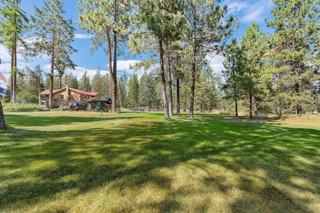 635 Lore Lake Rd, Kalispell, MT 59901 - view of yard