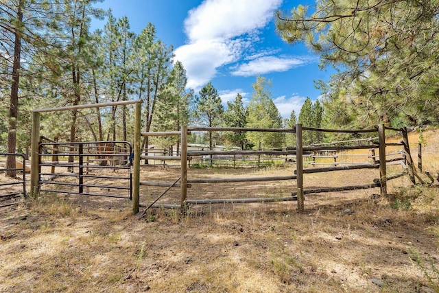 635 Lore Lake Rd, Kalispell, MT 59901 - view of yard