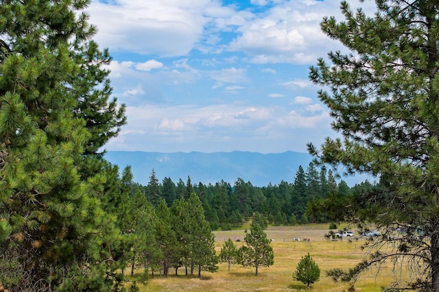 635 Lore Lake Rd, Kalispell, MT 59901 - mountain view featuring a wooded view