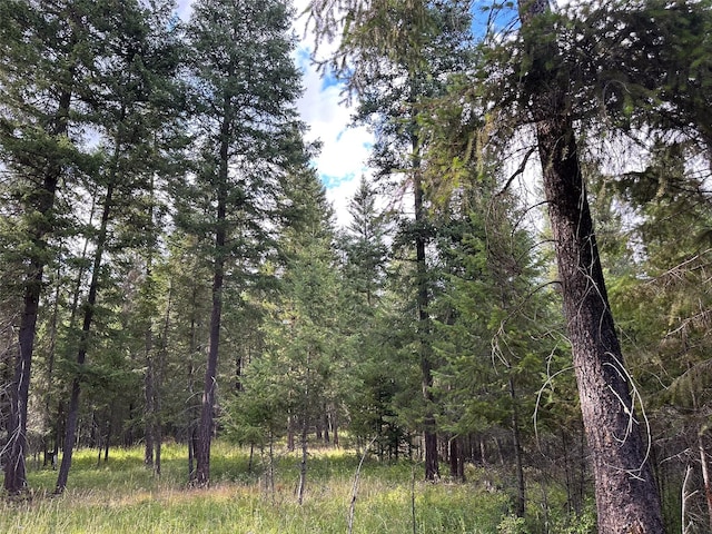 NHN Mt Highway 200, Trout Creek, MT 59874