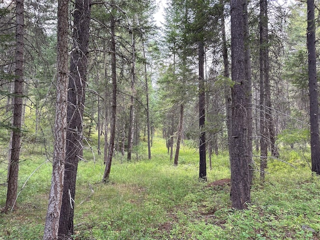 NHN Mt Highway 200, Trout Creek, MT 59874