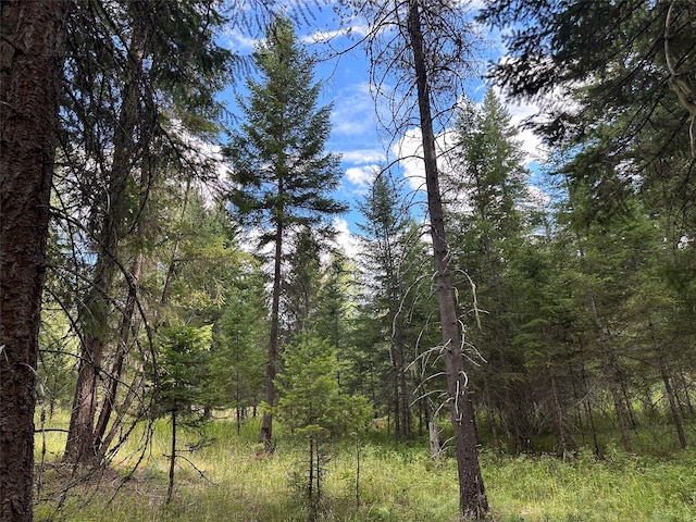 NHN Mt Highway 200, Trout Creek, MT 59874