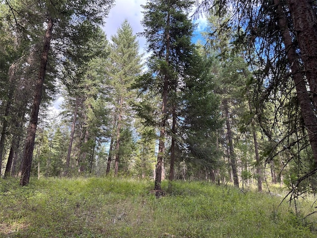 NHN Mt Highway 200, Trout Creek, MT 59874