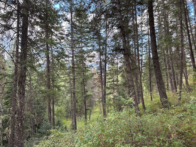 NHN Mt Highway 200, Trout Creek, MT 59874