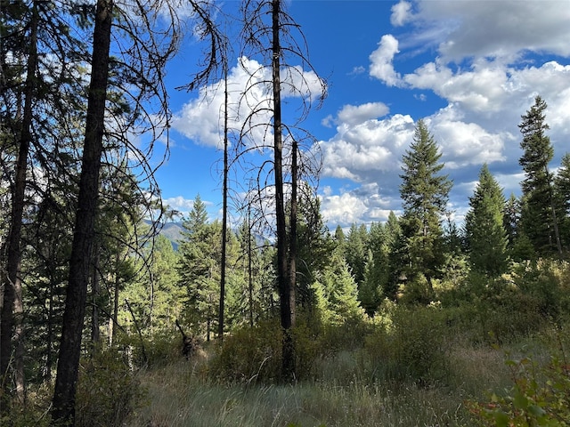 NHN Mt Highway 200, Trout Creek, MT 59874