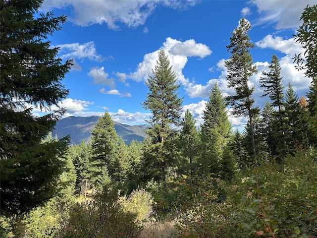 NHN Mt Highway 200, Trout Creek, MT 59874