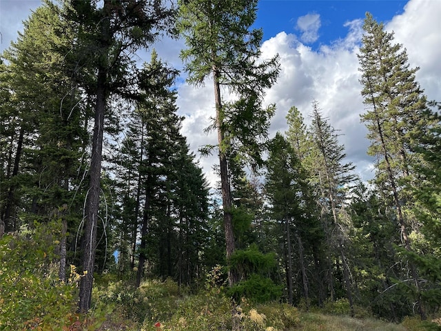 NHN Mt Highway 200, Trout Creek, MT 59874