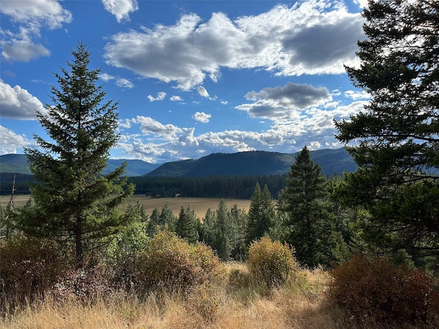 NHN Mt Highway 200, Trout Creek, MT 59874