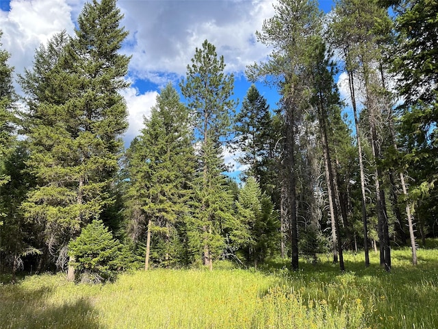 NHN Mt Highway 200, Trout Creek, MT 59874
