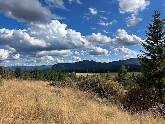 NHN Mt Highway 200, Trout Creek, MT 59874