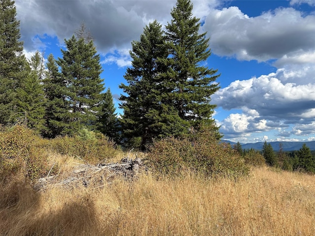 NHN Mt Highway 200, Trout Creek, MT 59874