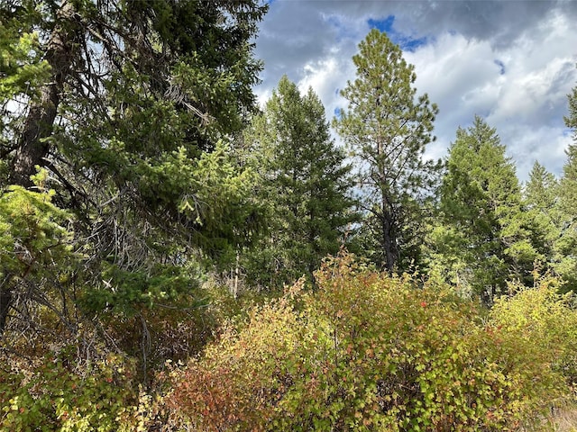 NHN Mt Highway 200, Trout Creek, MT 59874