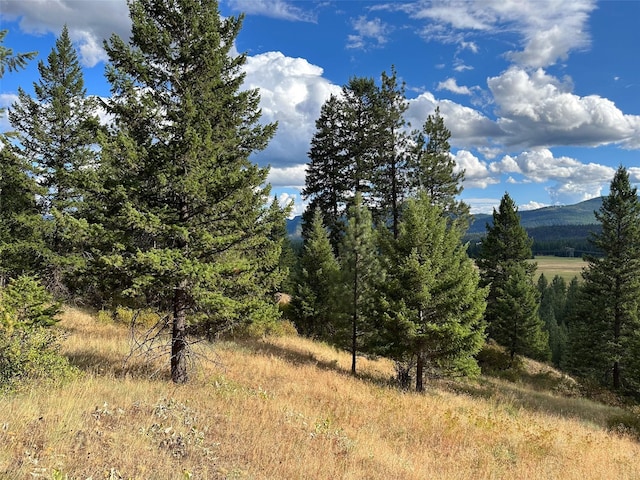 NHN Mt Highway 200, Trout Creek, MT 59874