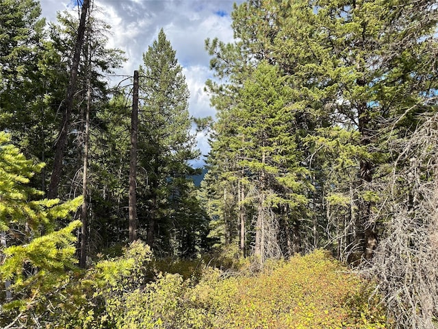 NHN Mt Highway 200, Trout Creek, MT 59874