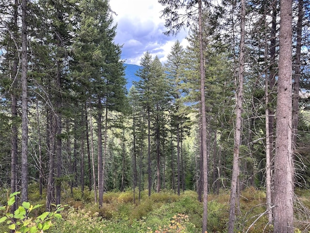 NHN Mt Highway 200, Trout Creek, MT 59874