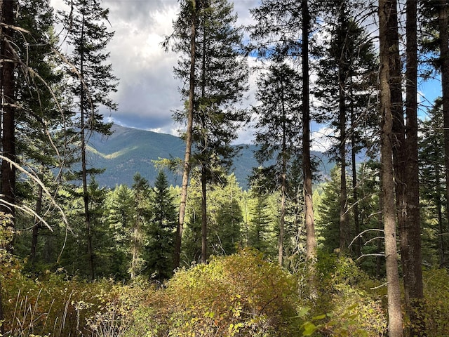 NHN Mt Highway 200, Trout Creek, MT 59874