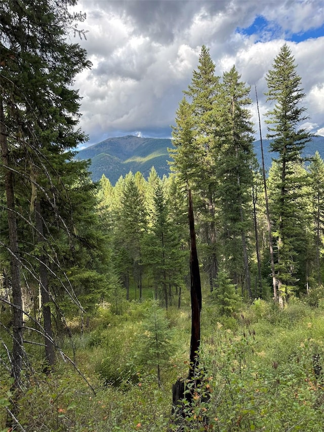 NHN Mt Highway 200, Trout Creek, MT 59874
