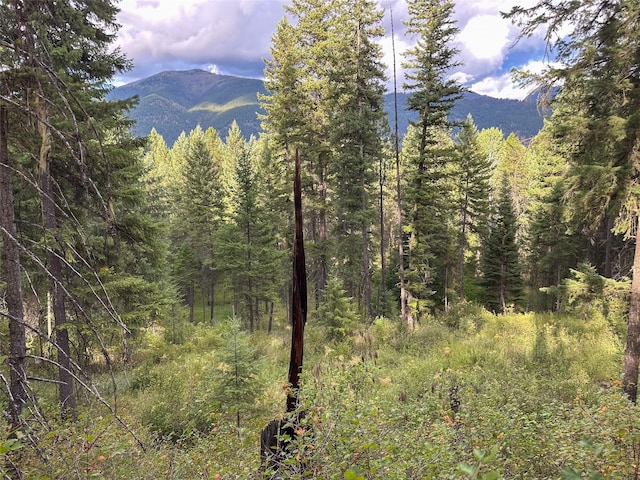 NHN Mt Highway 200, Trout Creek, MT 59874