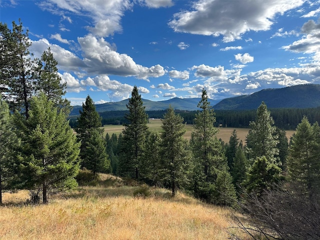 NHN Mt Highway 200, Trout Creek, MT 59874