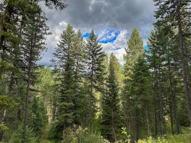NHN Mt Highway 200, Trout Creek, MT 59874