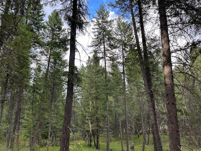 NHN Mt Highway 200, Trout Creek, MT 59874