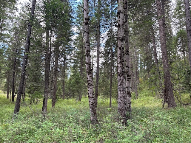 NHN Mt Highway 200, Trout Creek, MT 59874