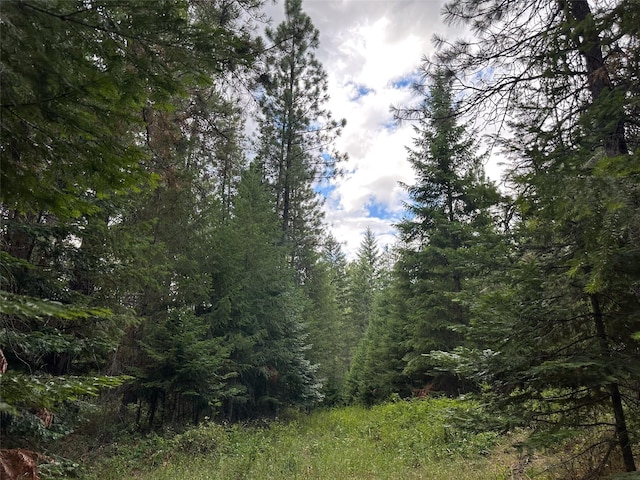 NHN Mt Highway 200, Trout Creek, MT 59874