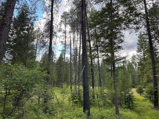 NHN Mt Highway 200, Trout Creek, MT 59874