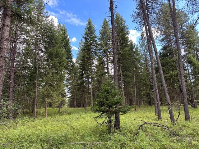 NHN Mt Highway 200, Trout Creek, MT 59874