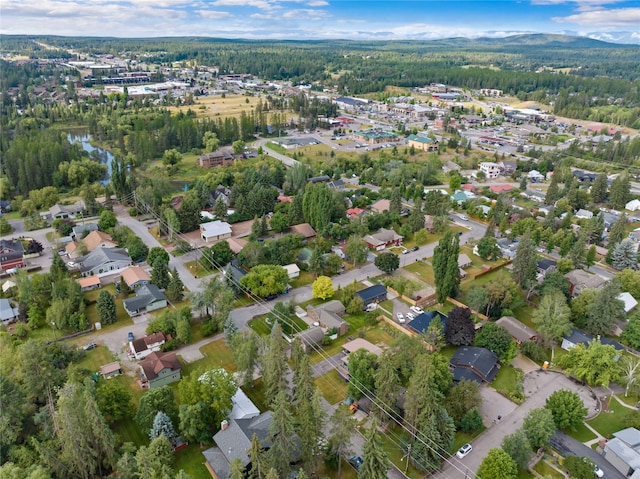 908 10th St, Whitefish, MT 59937 - aerial overview of property's location with a heavily wooded area and nearby suburban area