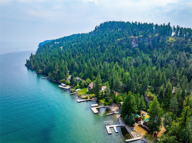 drone / aerial view with a water view