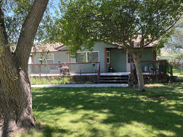 rear view of house featuring a deck and a yard