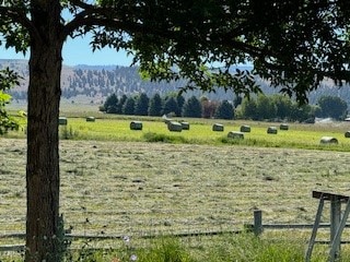 view of yard with a rural view