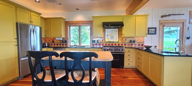 kitchen with dark wood-type flooring, exhaust hood, stainless steel appliances, and sink