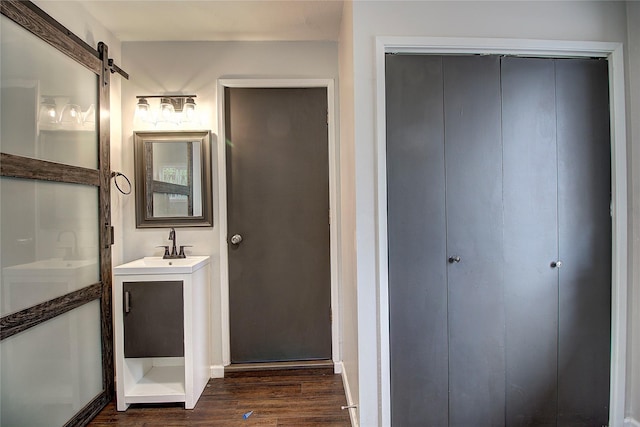 bathroom featuring wood finished floors and vanity