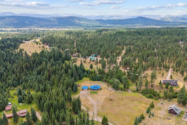 bird's eye view featuring a mountain view