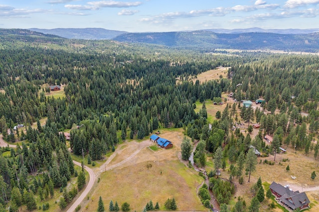 aerial view with a mountain view