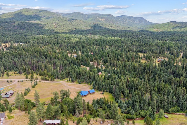 birds eye view of property with a mountain view