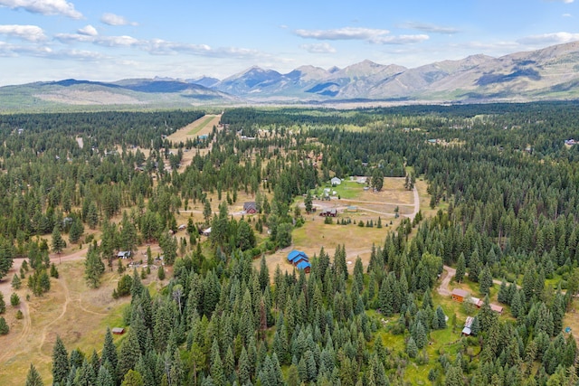 aerial view with a mountain view