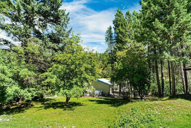 159 Sylvan Dr, Bigfork, MT 59911 - view of green lawn featuring a pole building and a view of trees