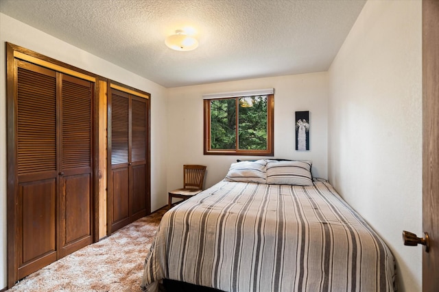 159 Sylvan Dr, Bigfork, MT 59911 - bedroom featuring a closet, carpet flooring, and a textured ceiling