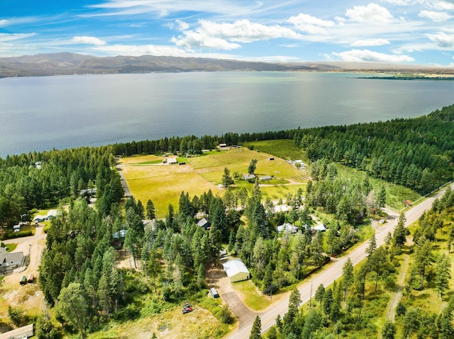 159 Sylvan Dr, Bigfork, MT 59911 - drone / aerial view of a water and mountain view and a heavily wooded area