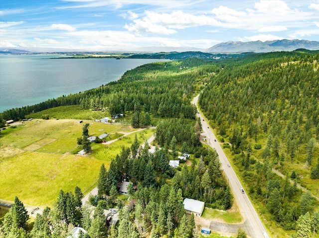 159 Sylvan Dr, Bigfork, MT 59911 - aerial view of a forest and a water and mountain view