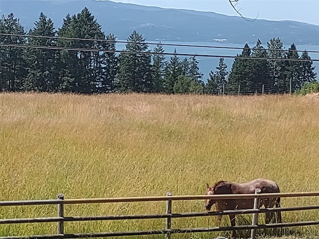 159 Sylvan Dr, Bigfork, MT 59911 - view of yard featuring a mountain view