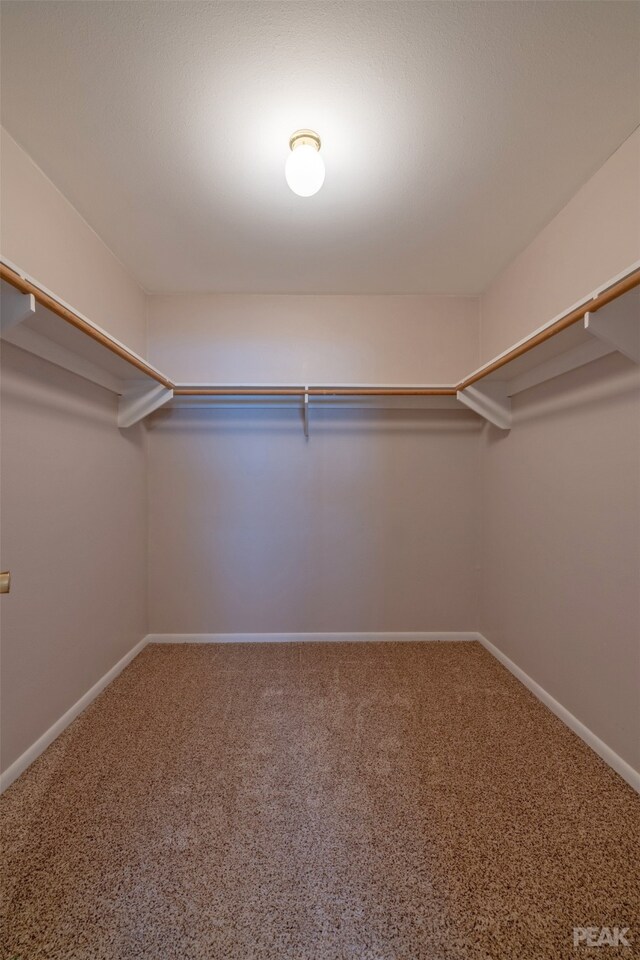 spacious closet with carpet floors